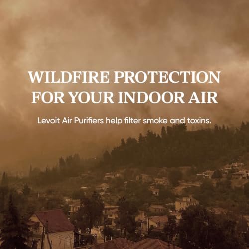Best Air Purifier