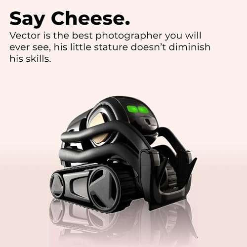 Best AI Gadgets for Home
