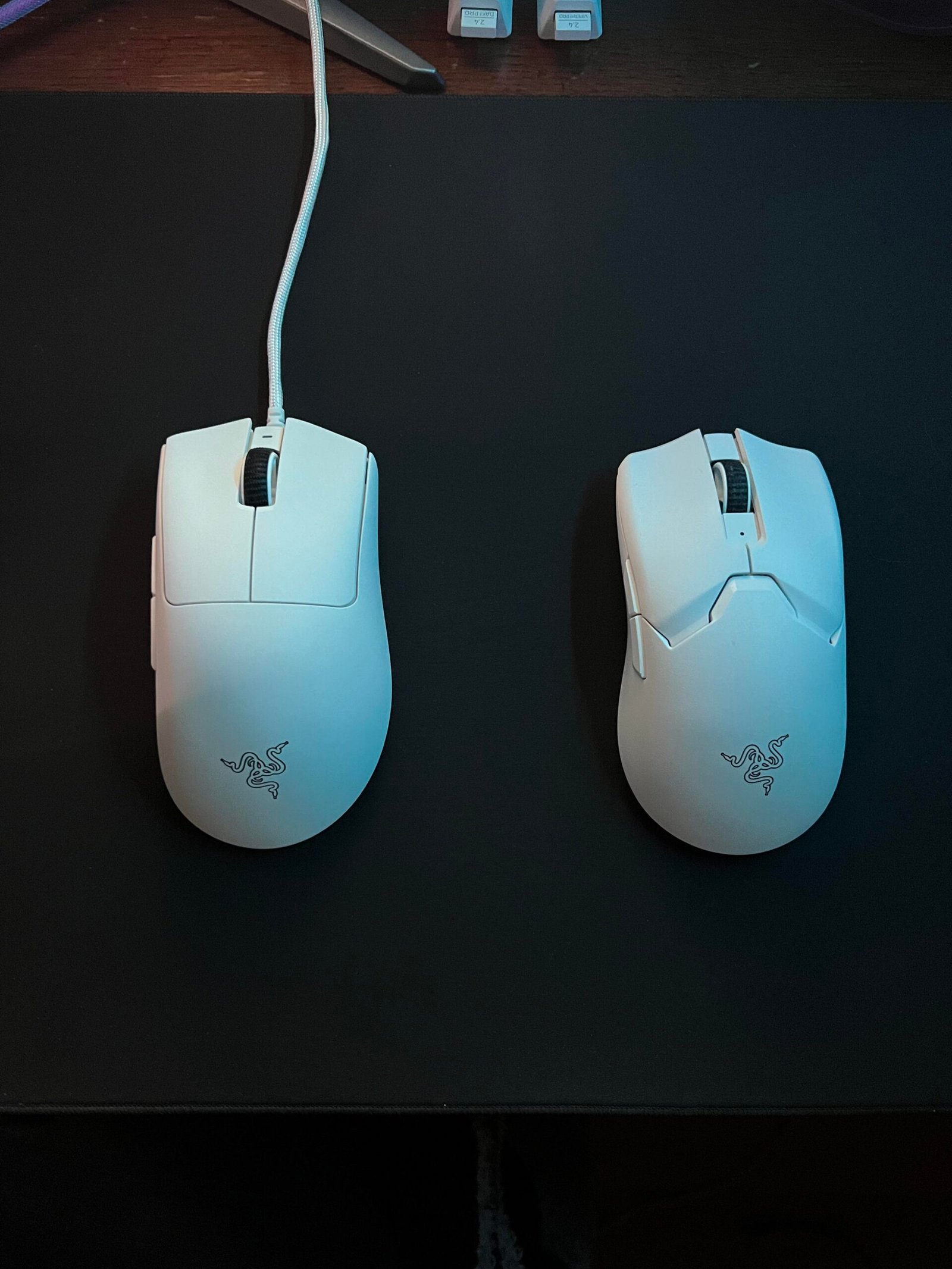 Why Is Razer Deathadder V3 Pro Not Connecting: Fixes