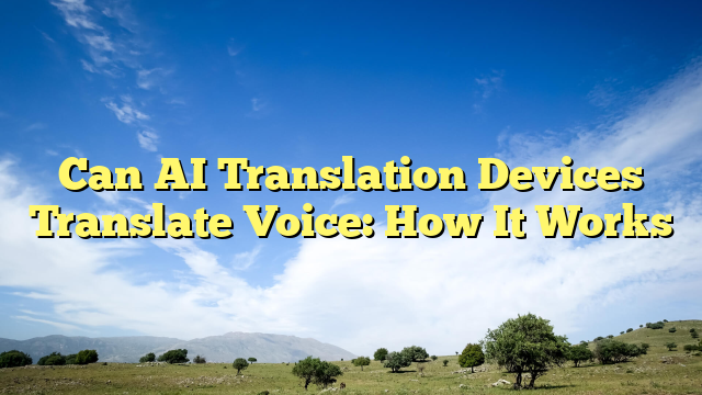 Can AI Translation Devices Translate Voice: How It Works