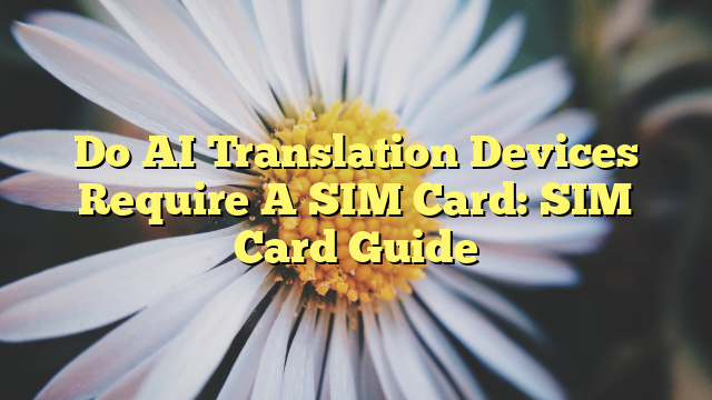 Do AI Translation Devices Require A SIM Card: SIM Card Guide