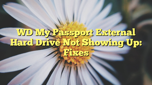 WD My Passport External Hard Drive Not Showing Up: Fixes
