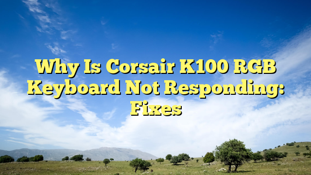 Why Is Corsair K100 RGB Keyboard Not Responding: Fixes