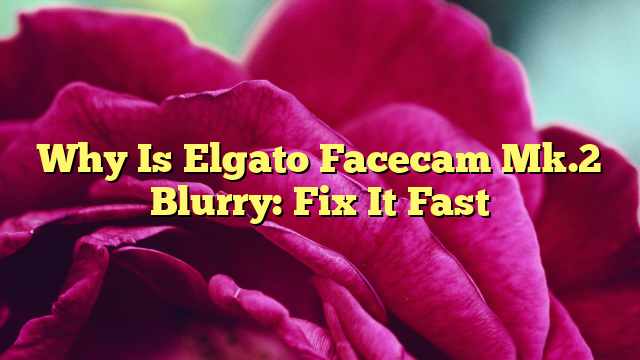Why Is Elgato Facecam Mk.2 Blurry: Fix It Fast