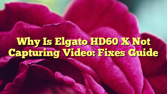 Why Is Elgato HD60 X Not Capturing Video: Fixes Guide