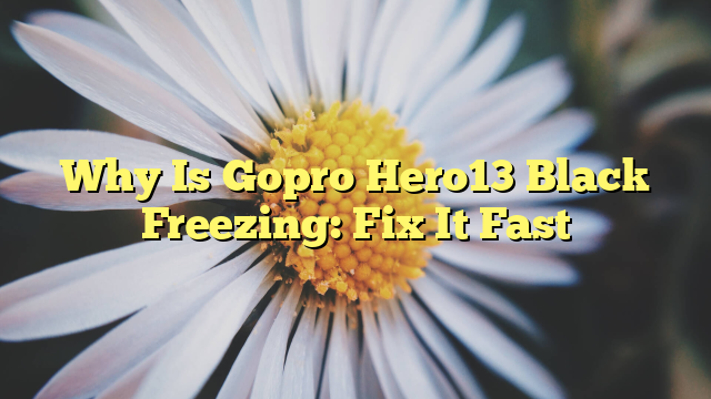 Why Is Gopro Hero13 Black Freezing: Fix It Fast