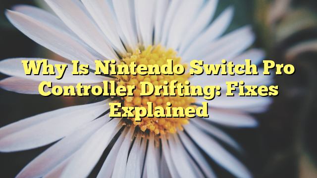 Why Is Nintendo Switch Pro Controller Drifting: Fixes Explained