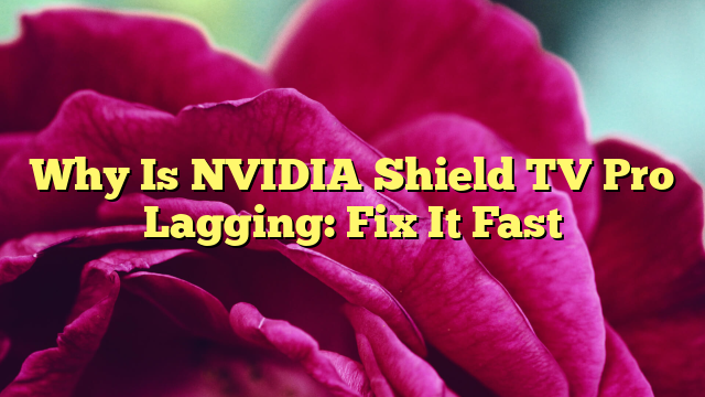 Why Is NVIDIA Shield TV Pro Lagging: Fix It Fast