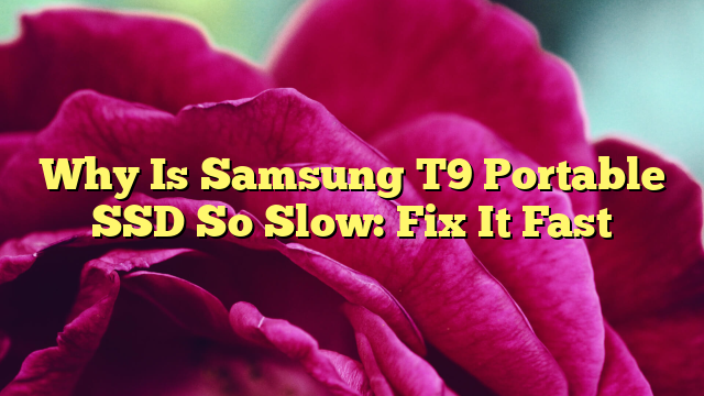 Why Is Samsung T9 Portable SSD So Slow: Fix It Fast