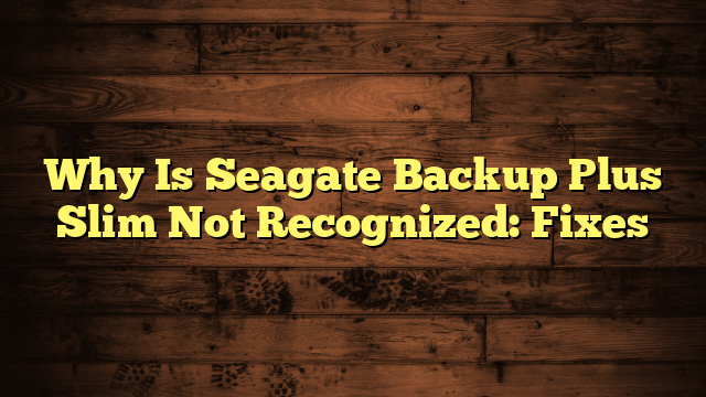 Why Is Seagate Backup Plus Slim Not Recognized: Fixes