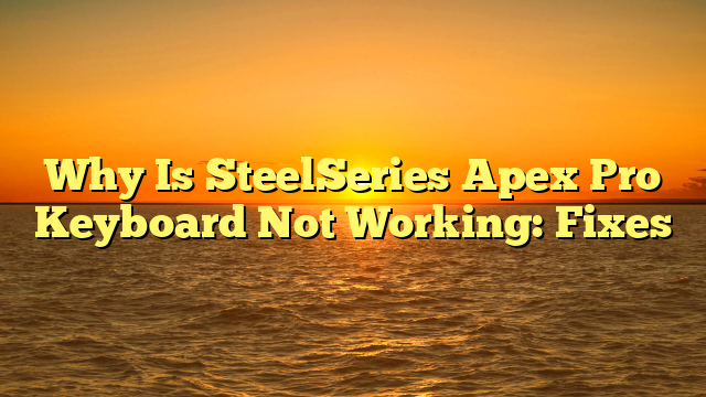 Why Is SteelSeries Apex Pro Keyboard Not Working: Fixes