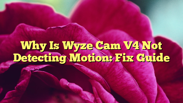 Why Is Wyze Cam V4 Not Detecting Motion: Fix Guide