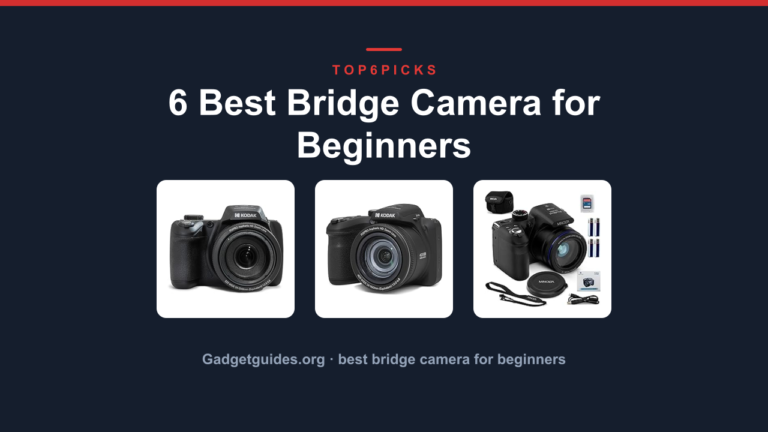 6 Best Bridge Camera for Beginners