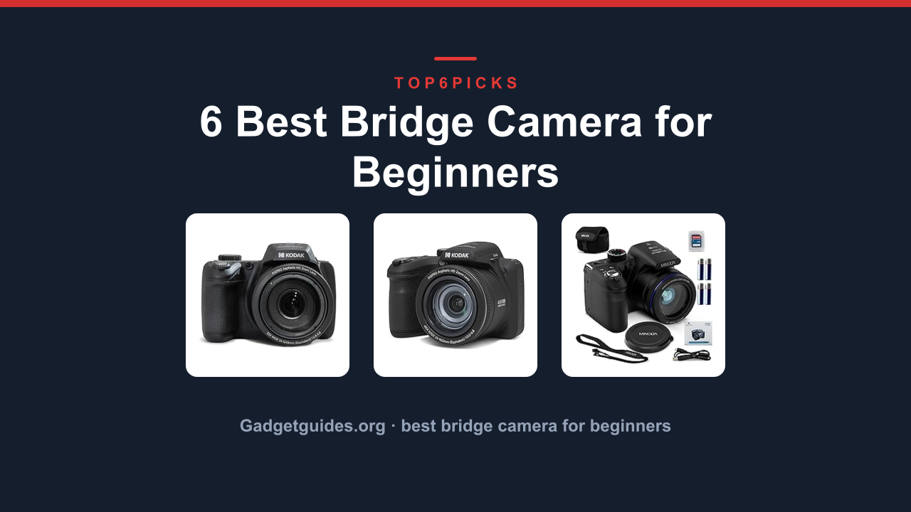 6 Best Bridge Camera for Beginners