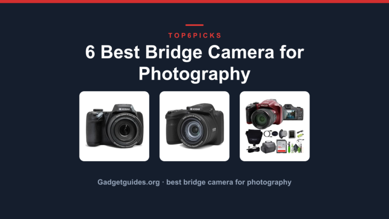 6 Best Bridge Camera for Photography