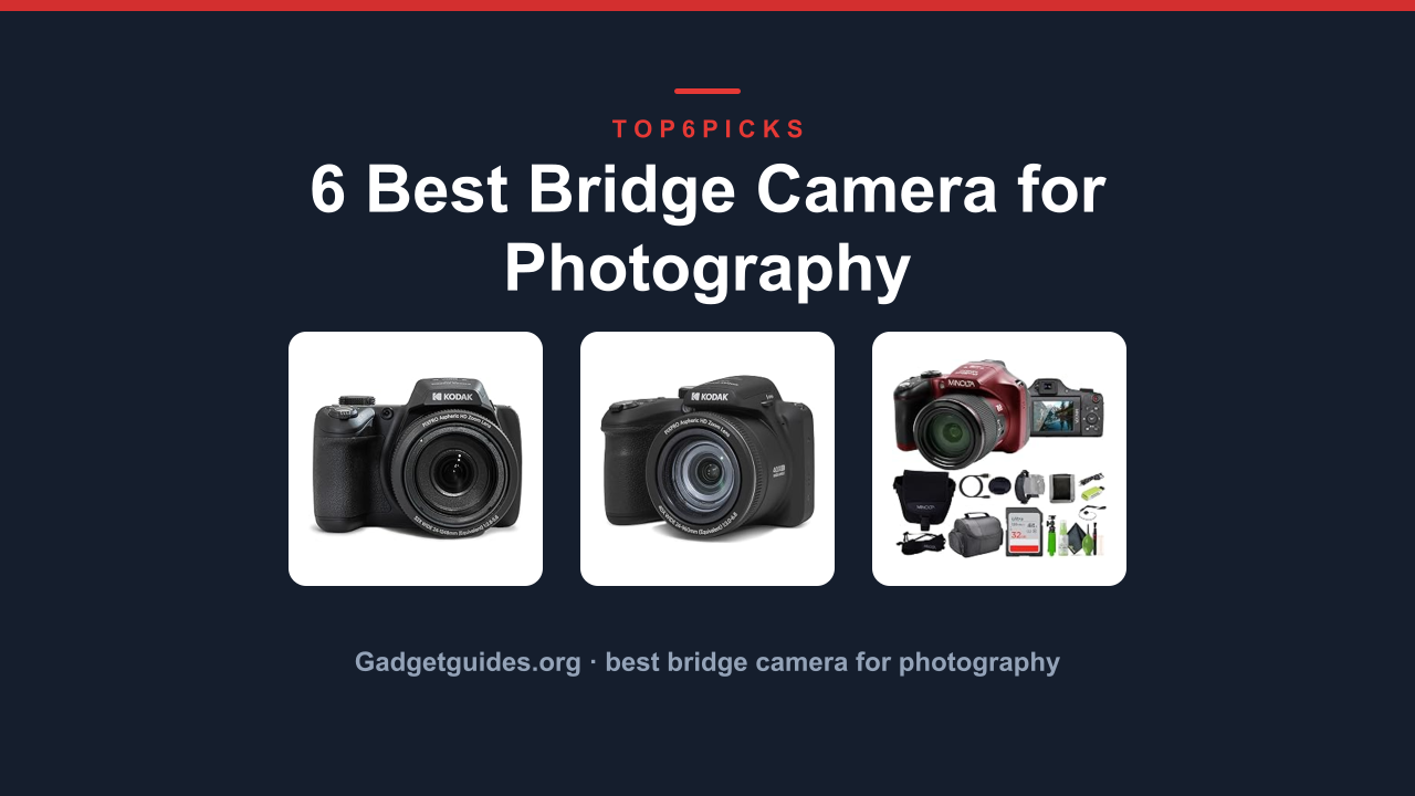 6 Best Bridge Camera for Photography