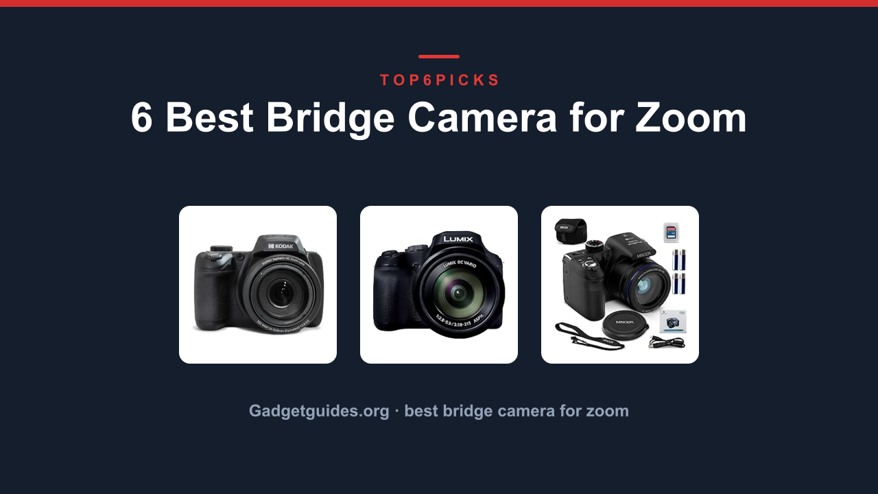 6 Best Bridge Camera for Zoom