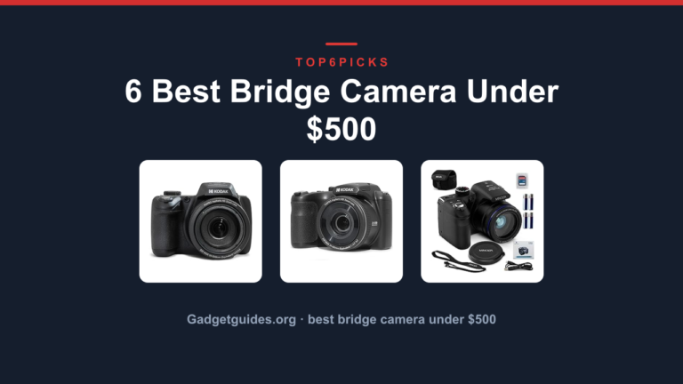 6 Best Bridge Camera Under $500