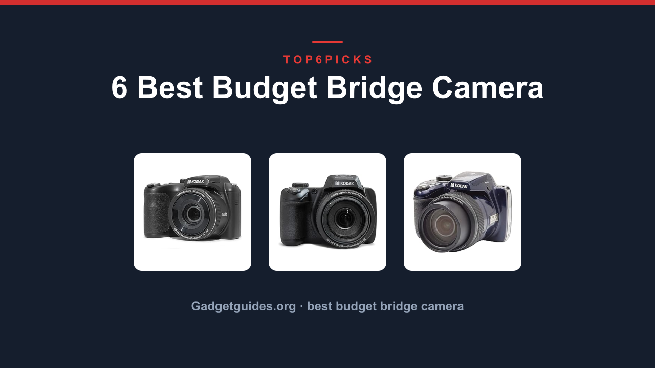 6 Best Budget Bridge Camera