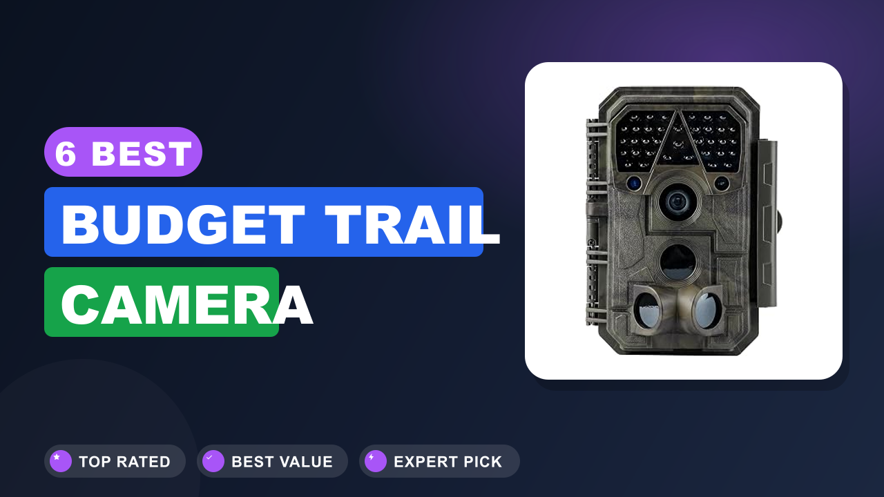 6 Best Budget Trail Camera