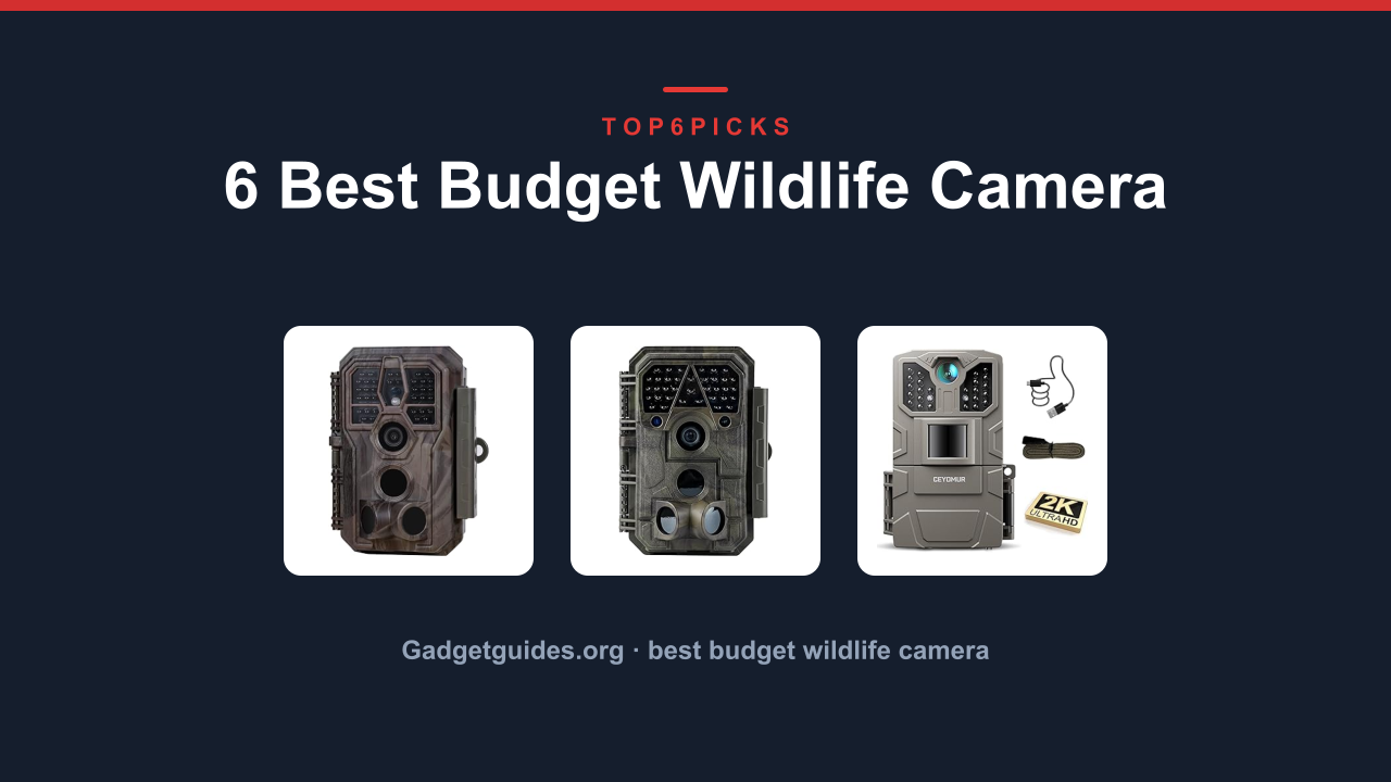 6 Best Budget Wildlife Camera