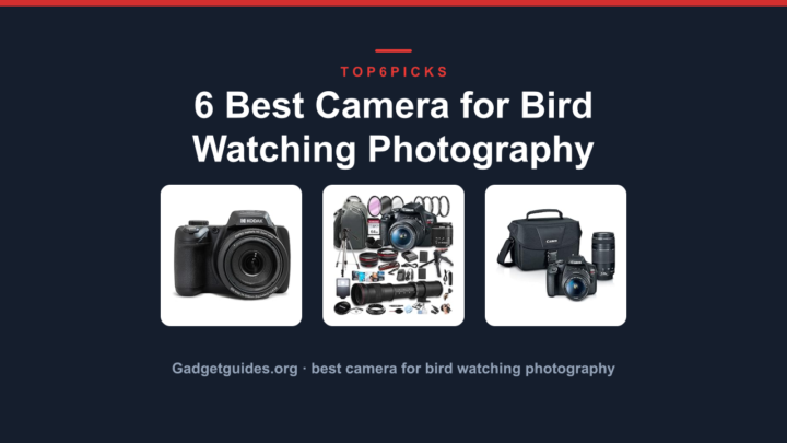 6 Best Camera for Bird Watching Photography