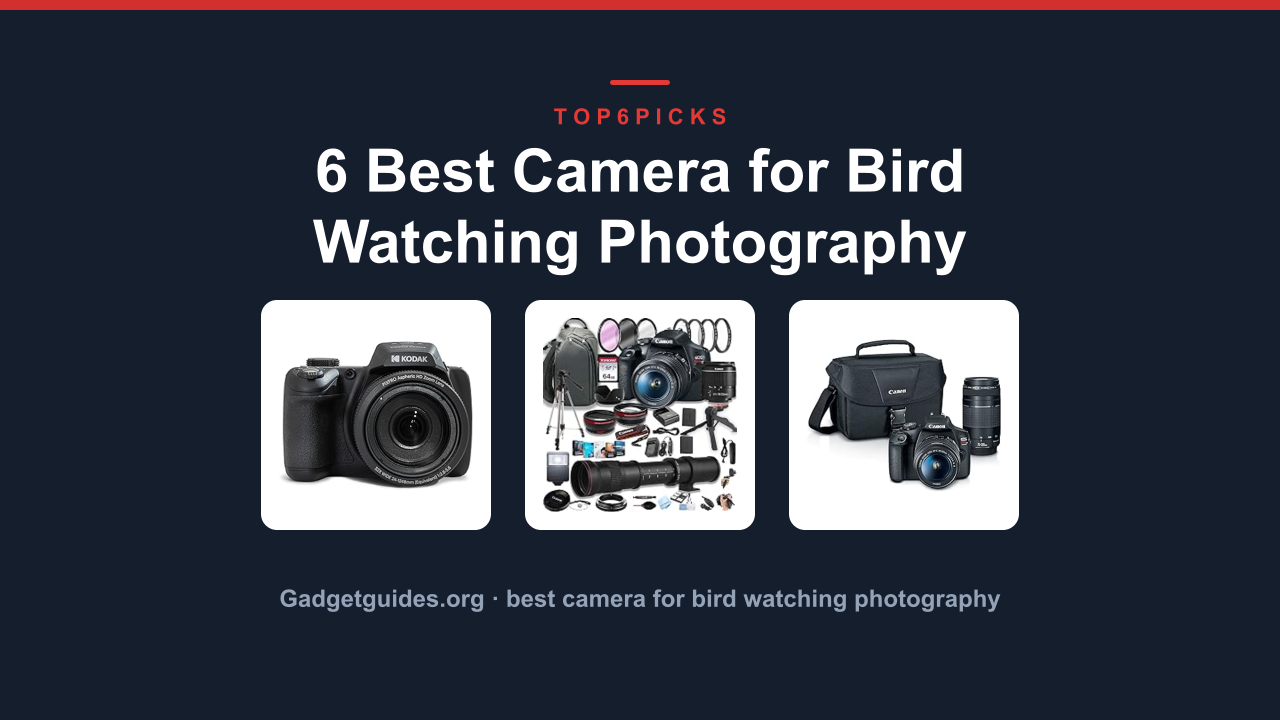 6 Best Camera for Bird Watching Photography