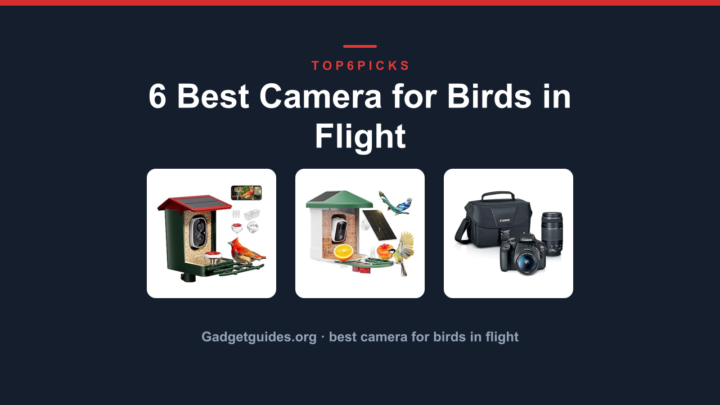 6 Best Camera for Birds in Flight