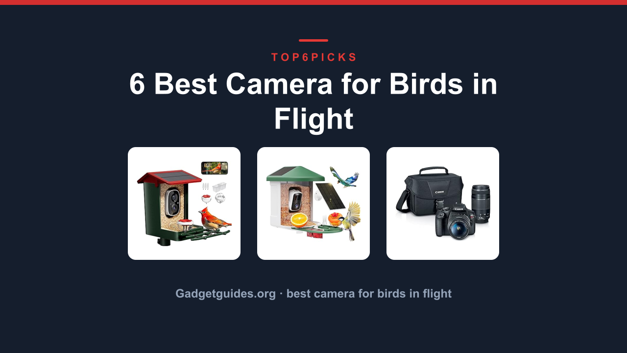 6 Best Camera for Birds in Flight