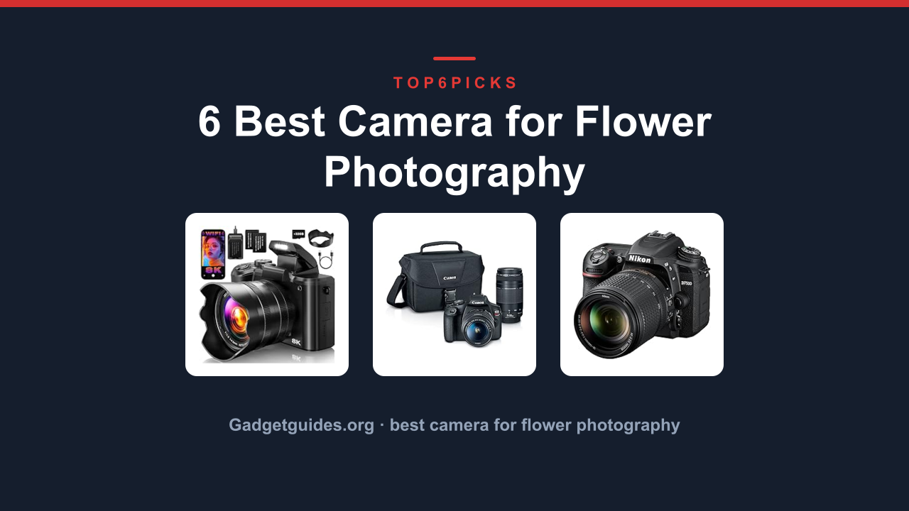 6 Best Camera for Flower Photography