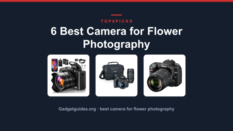 6 Best Camera for Flower Photography