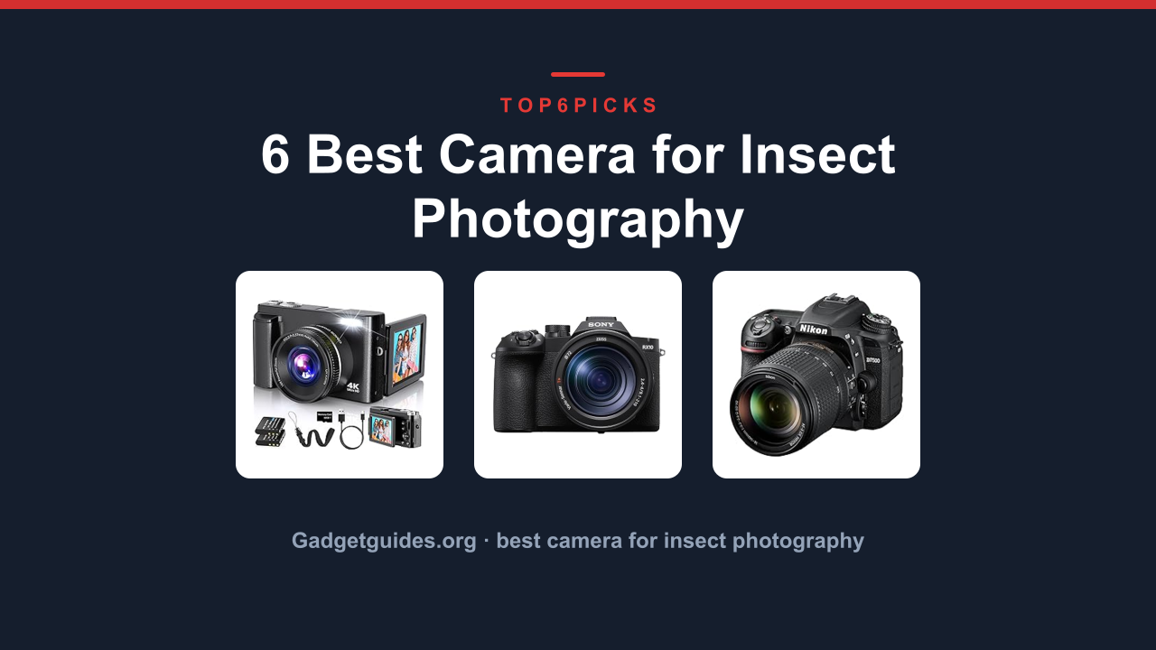 6 Best Camera for Insect Photography