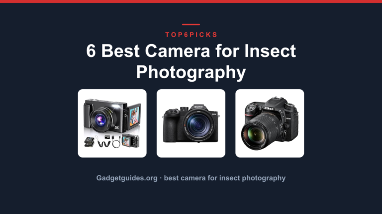 6 Best Camera for Insect Photography