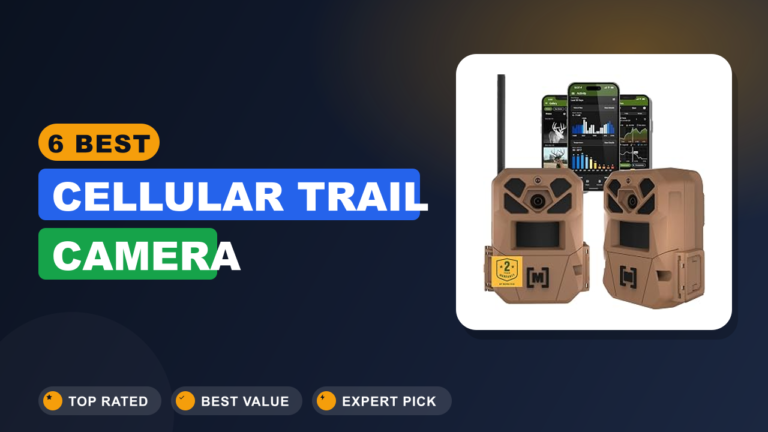 6 Best Cellular Trail Camera
