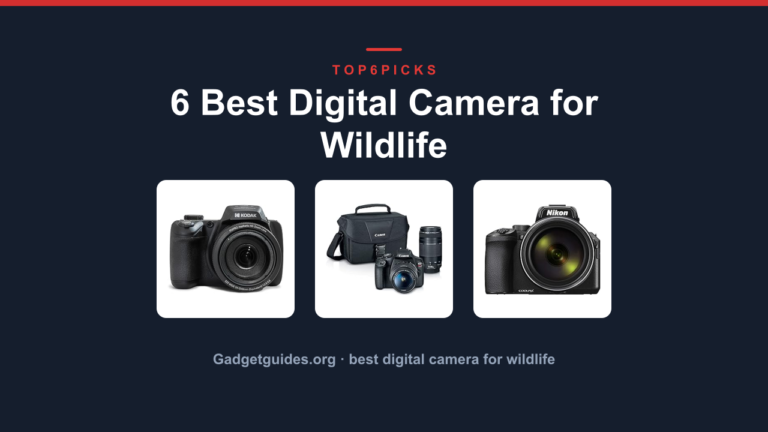 6 Best Digital Camera for Wildlife
