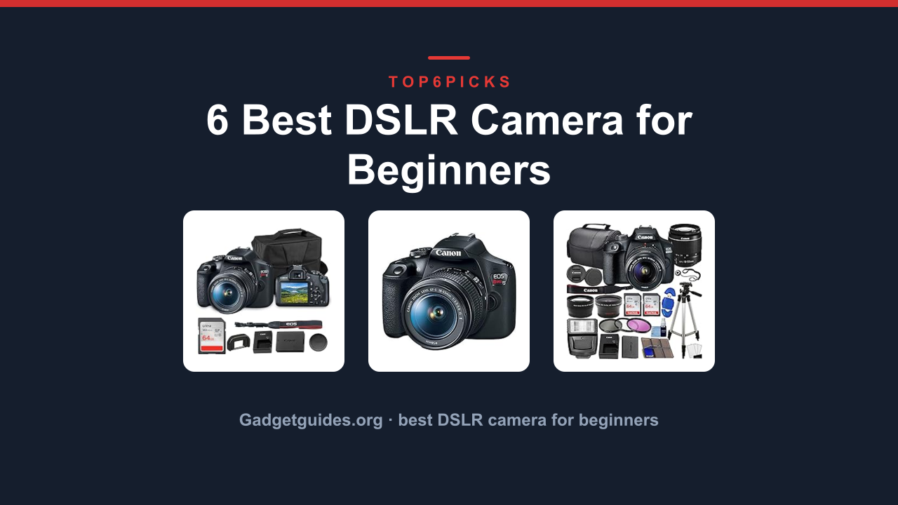 6 Best DSLR Camera for Beginners