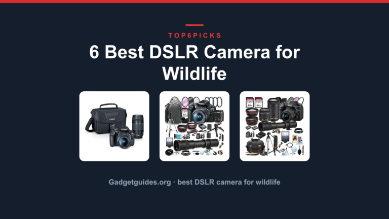 6 Best DSLR Camera for Wildlife