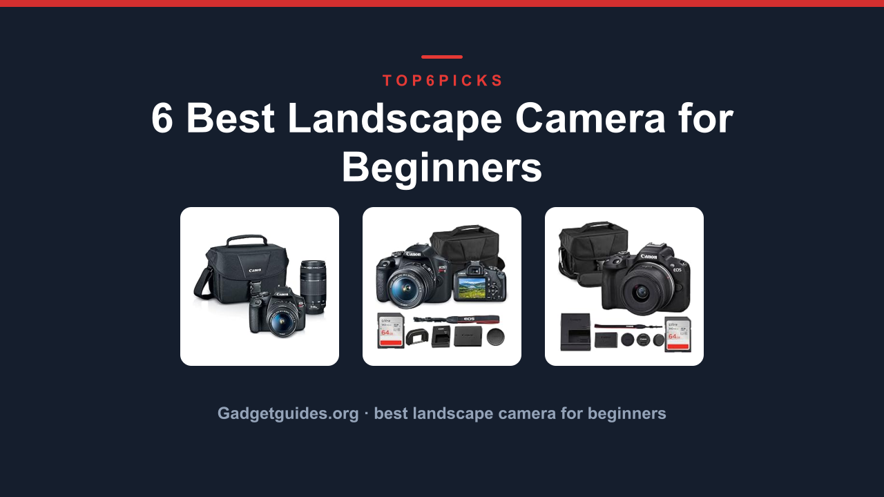 6 Best Landscape Camera for Beginners