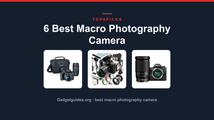6 Best Macro Photography Camera