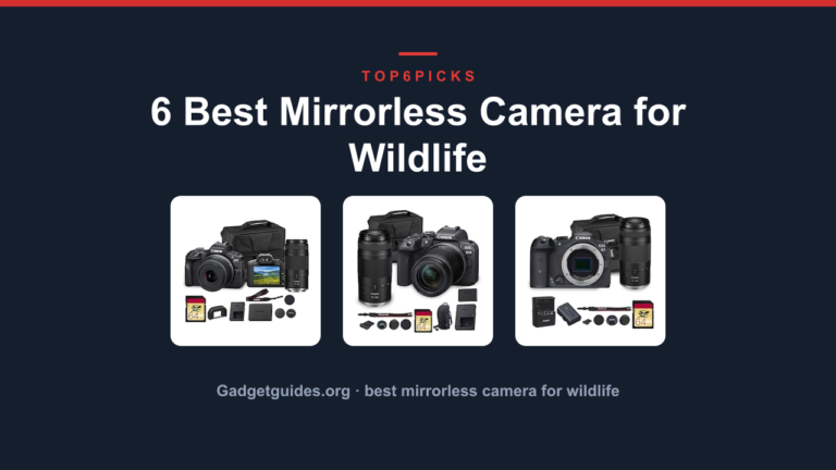 6 Best Mirrorless Camera for Wildlife