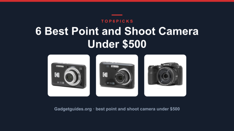 6 Best Point and Shoot Camera Under $500