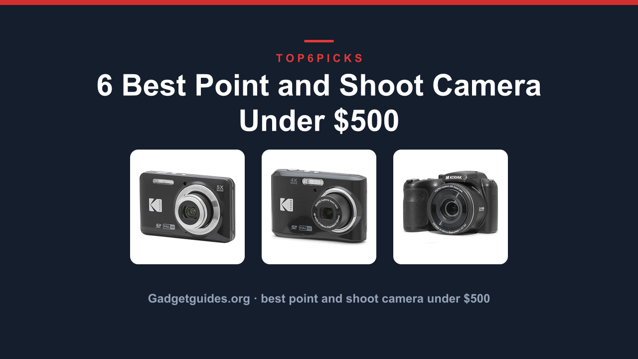 6 Best Point and Shoot Camera Under $500