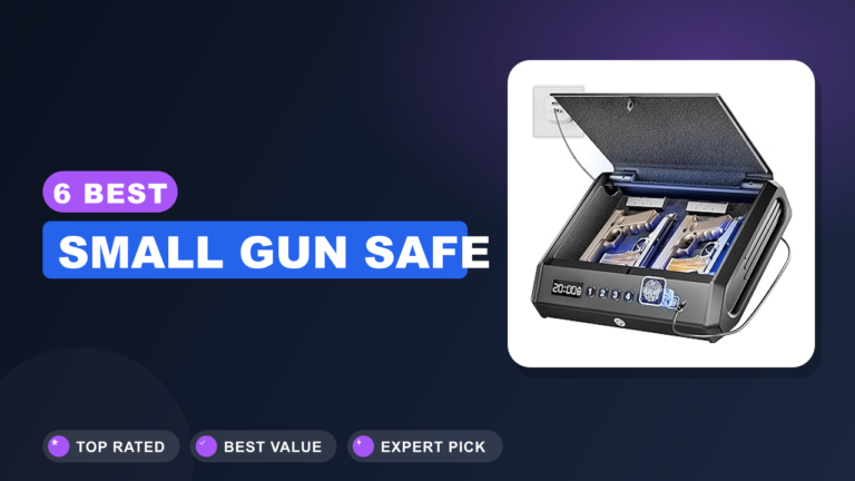 6 Best Small Gun Safe