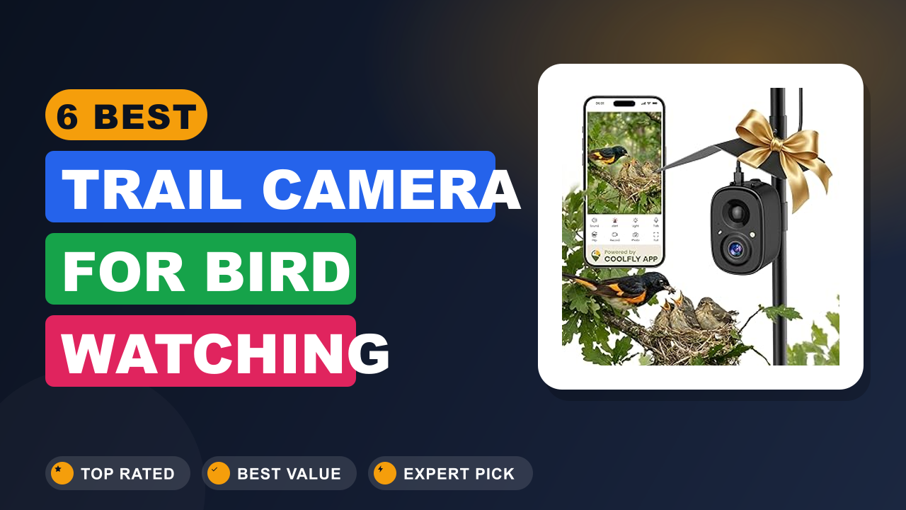 6 Best Trail Camera for Bird Watching