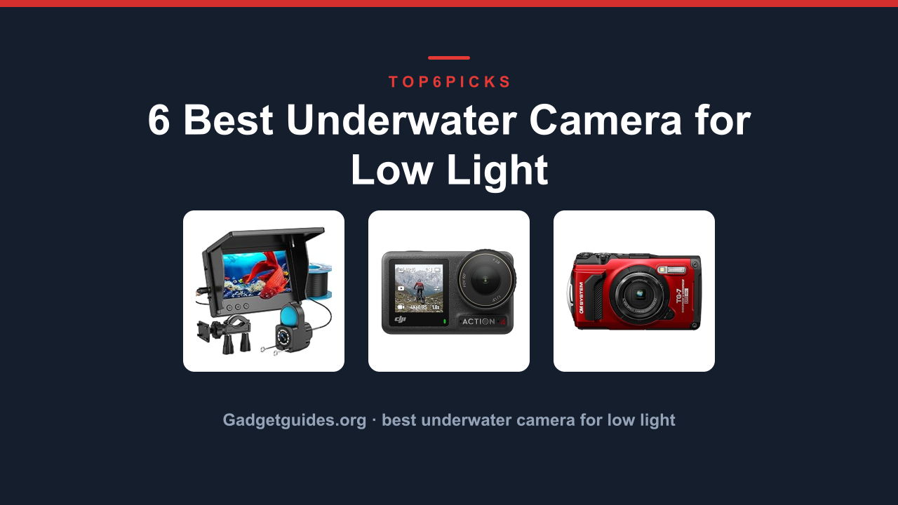 6 Best Underwater Camera for Low Light