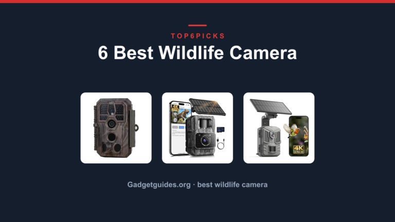 6 Best Wildlife Camera