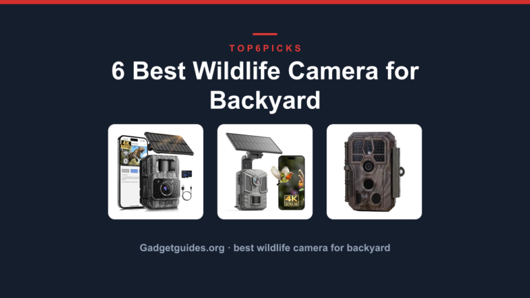 6 Best Wildlife Camera for Backyard
