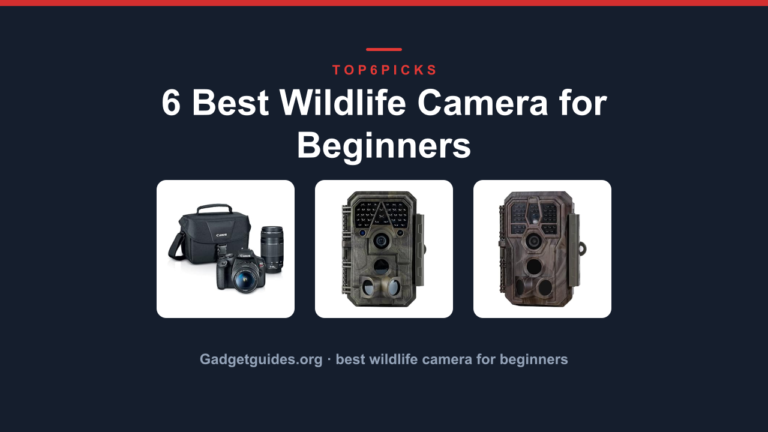 6 Best Wildlife Camera for Beginners