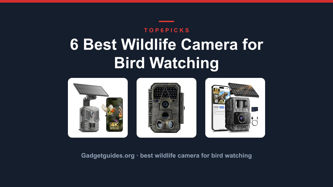 6 Best Wildlife Camera for Bird Watching