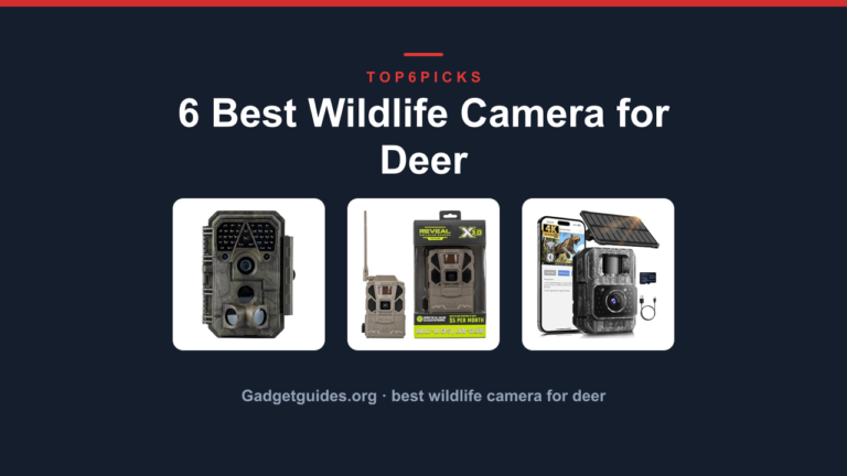 6 Best Wildlife Camera for Deer